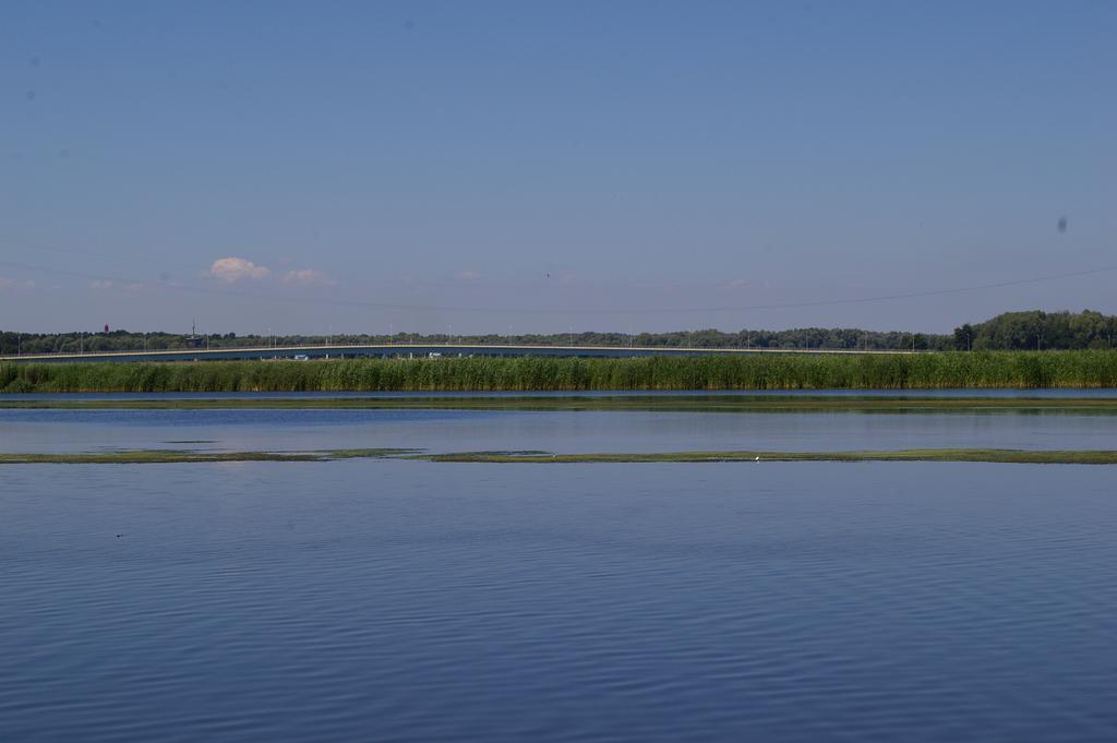 Agroturystyka Pod Brzozami *